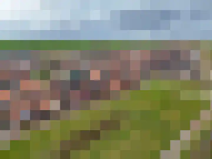 De Loper 17 Assendelft thumbnail 51