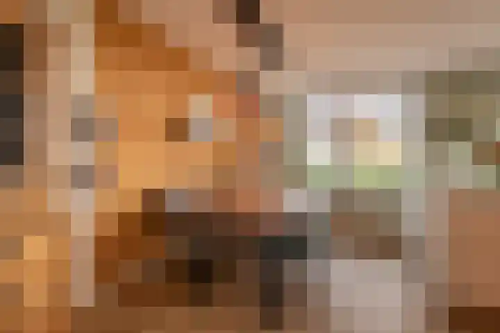 De Loper 17 Assendelft thumbnail 7