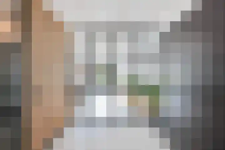 De Loper 21 Assendelft thumbnail 12