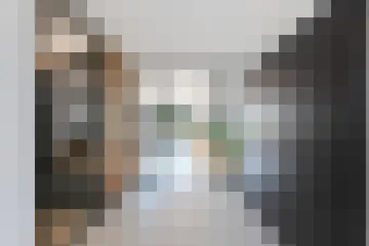 De Loper 21 Assendelft thumbnail 13