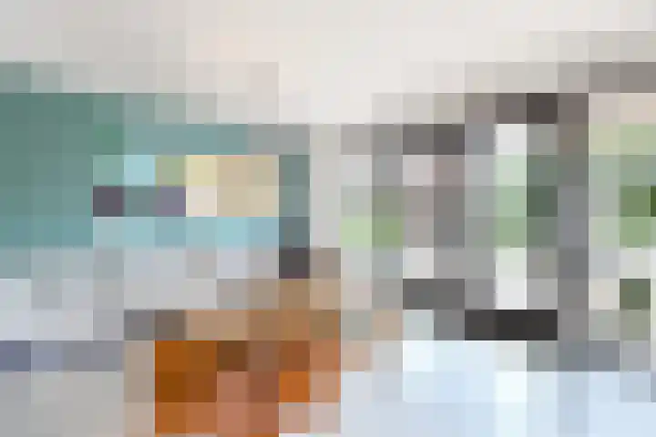 De Loper 21 Assendelft thumbnail 16