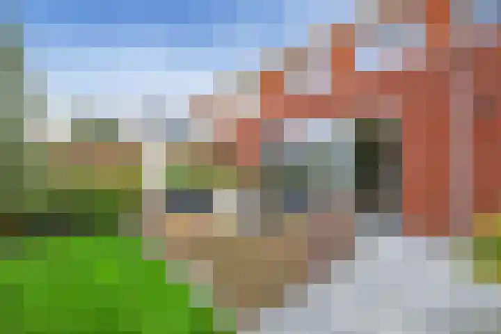 De Loper 21 Assendelft thumbnail 18
