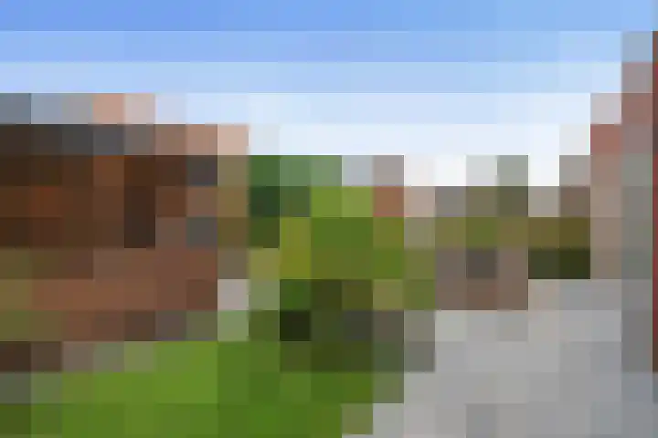 De Loper 21 Assendelft thumbnail 19