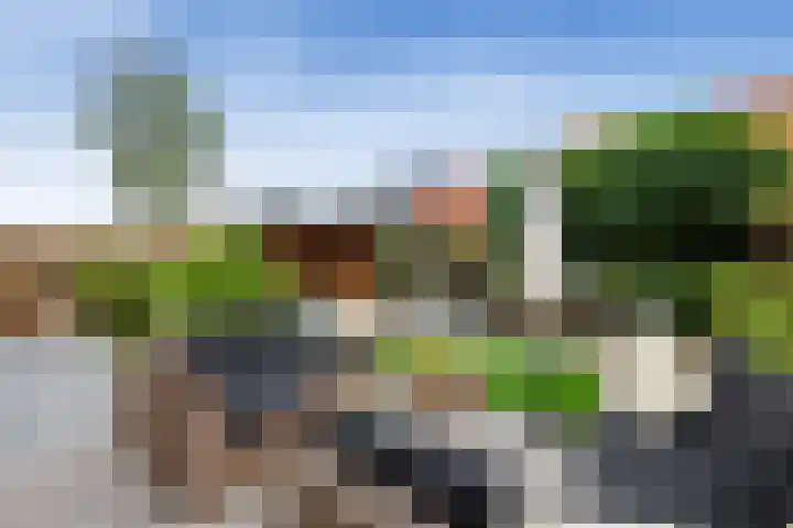 De Loper 21 Assendelft thumbnail 20