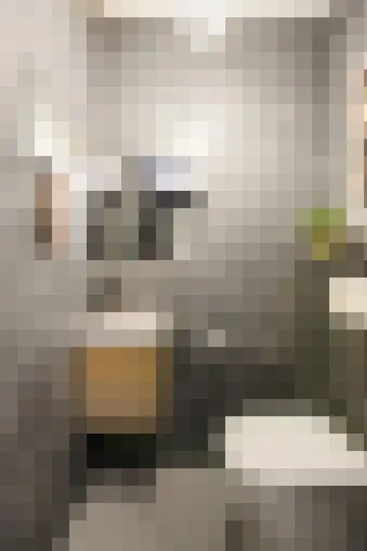 De Loper 21 Assendelft thumbnail 23