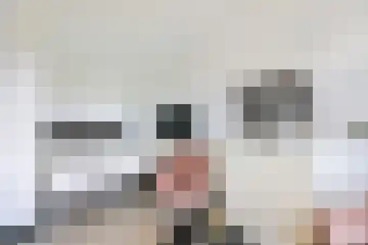 De Loper 21 Assendelft thumbnail 25