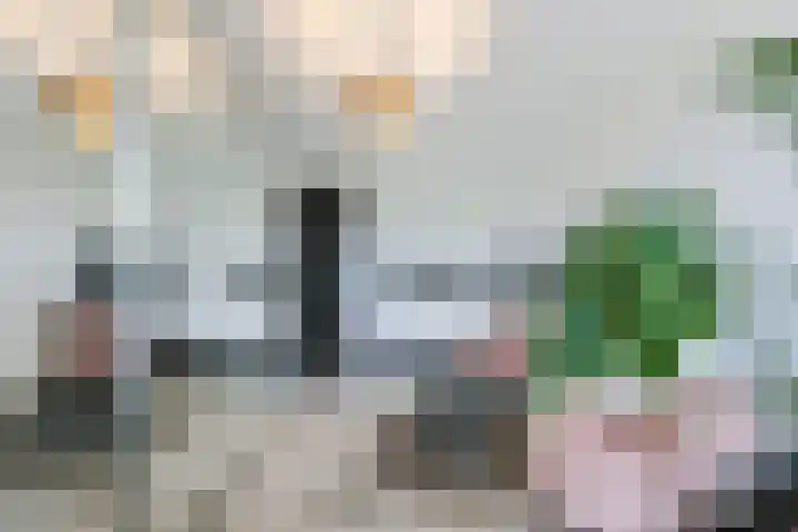 De Loper 21 Assendelft thumbnail 26