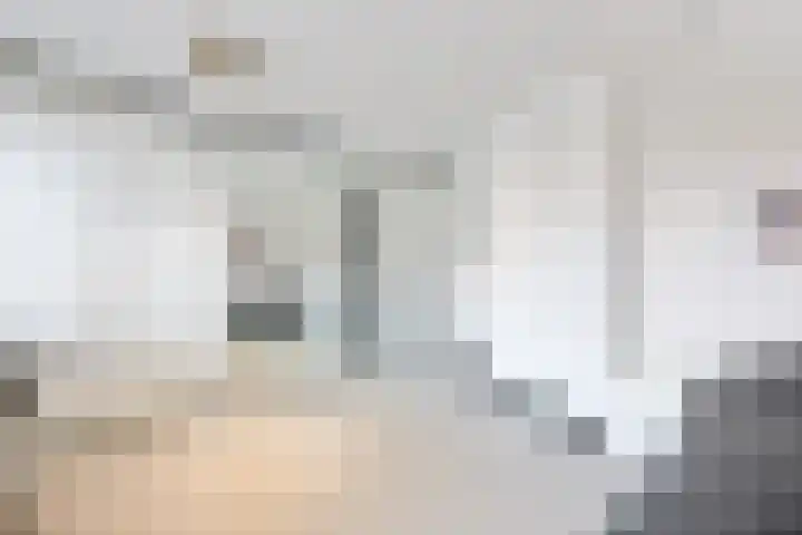 De Loper 21 Assendelft thumbnail 29