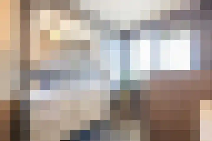De Loper 21 Assendelft thumbnail 30