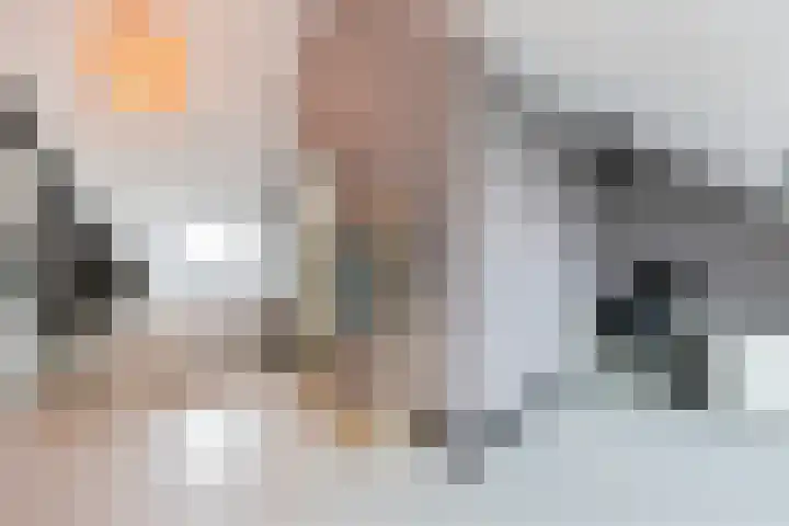 De Loper 21 Assendelft thumbnail 34