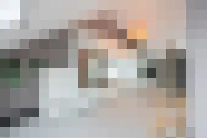 De Loper 21 Assendelft thumbnail 35