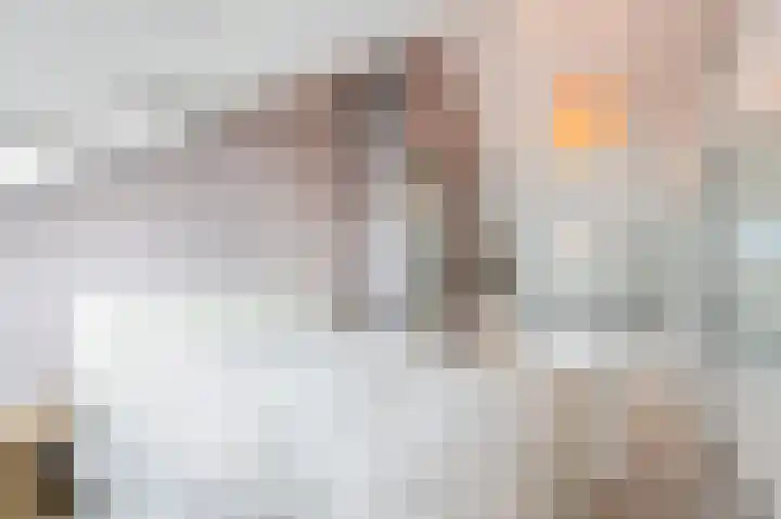 De Loper 21 Assendelft thumbnail 36