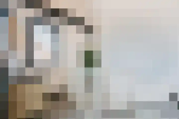 De Loper 21 Assendelft thumbnail 37