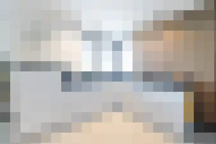 De Loper 21 Assendelft thumbnail 6
