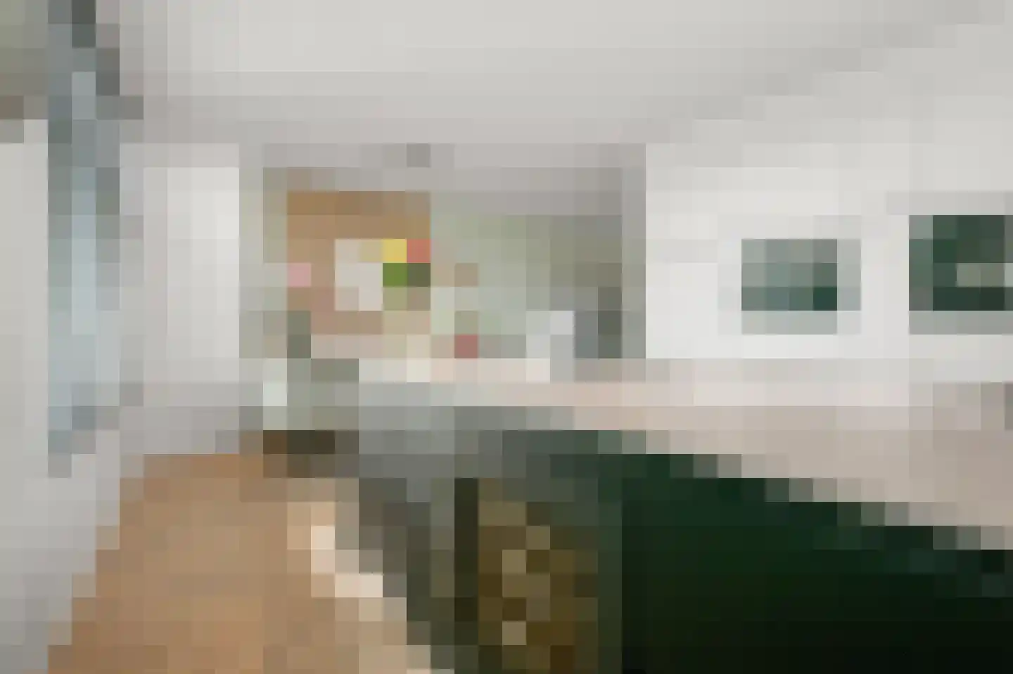 De Loper 27 Assendelft thumbnail 10