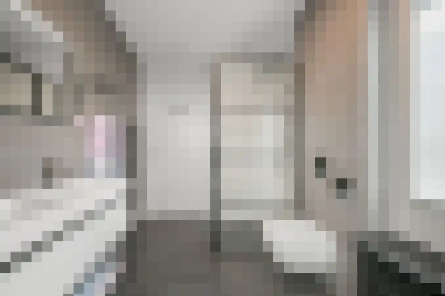 De Loper 27 Assendelft thumbnail 19