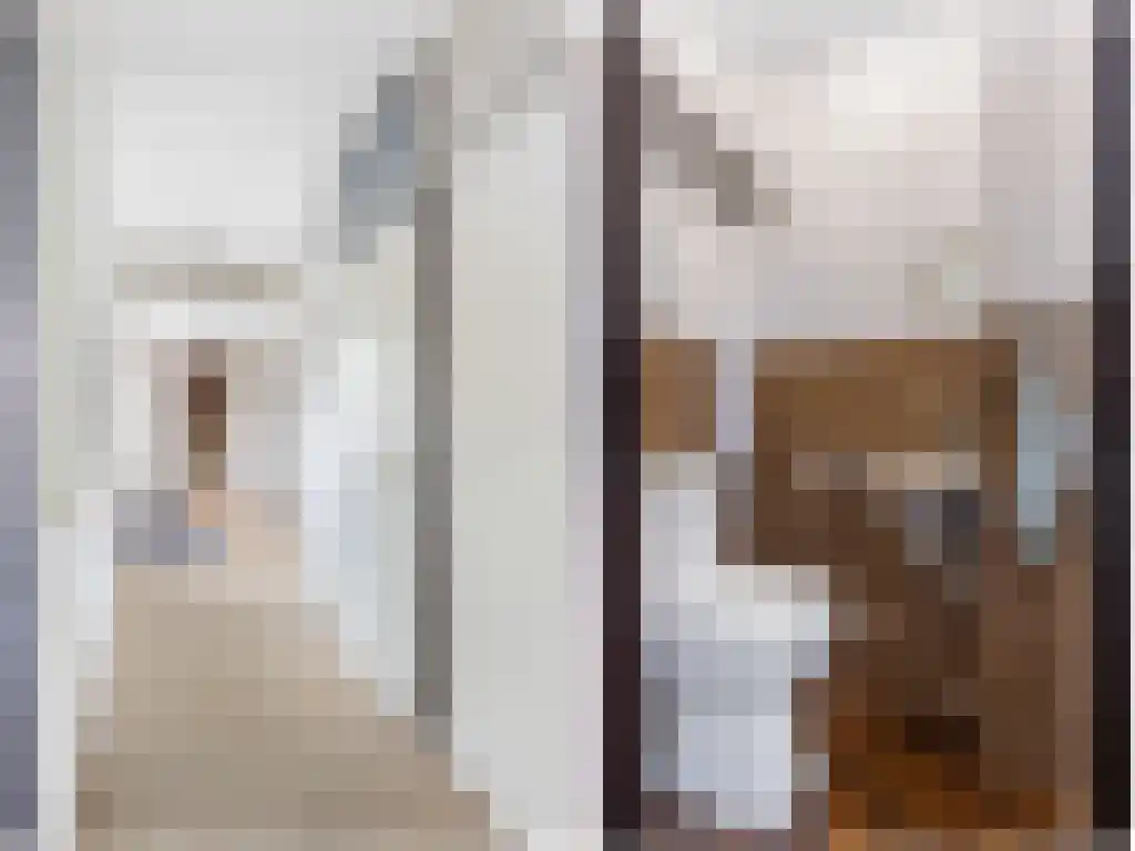 de Loper 4 Sneek thumbnail 18
