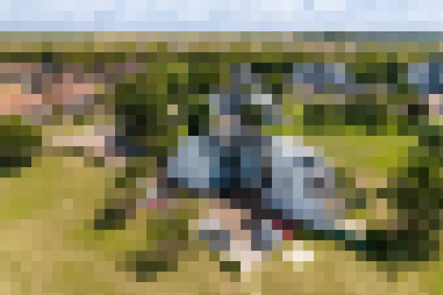De Lopinge 11 Cadzand thumbnail 12
