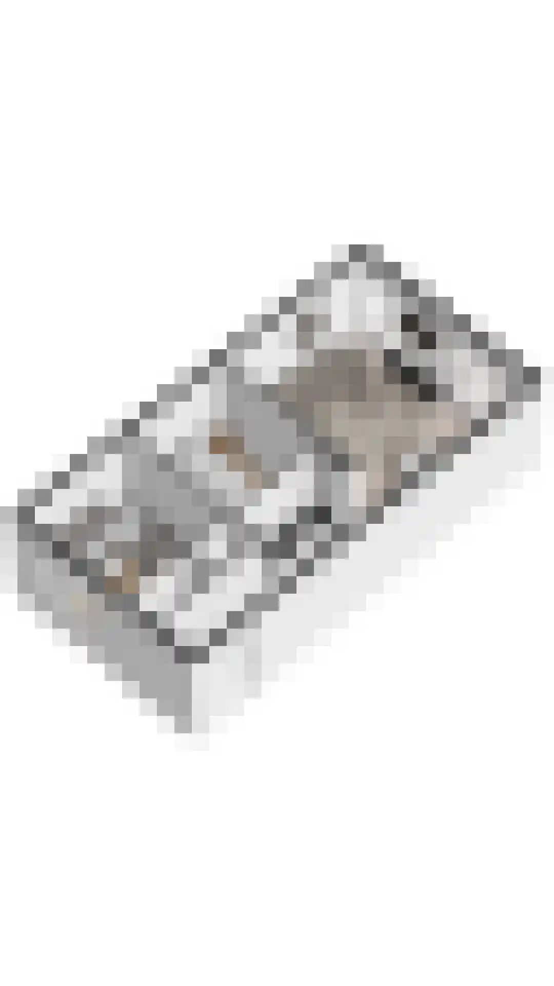 De Lopinge 11 Cadzand thumbnail 20