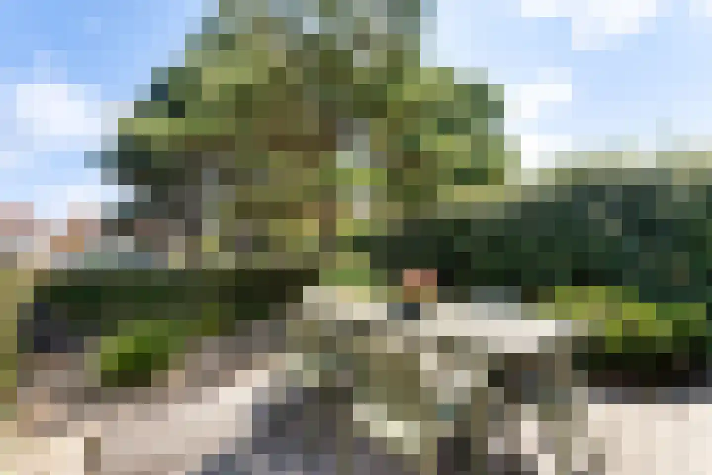 De Lopinge 11 Cadzand thumbnail 7