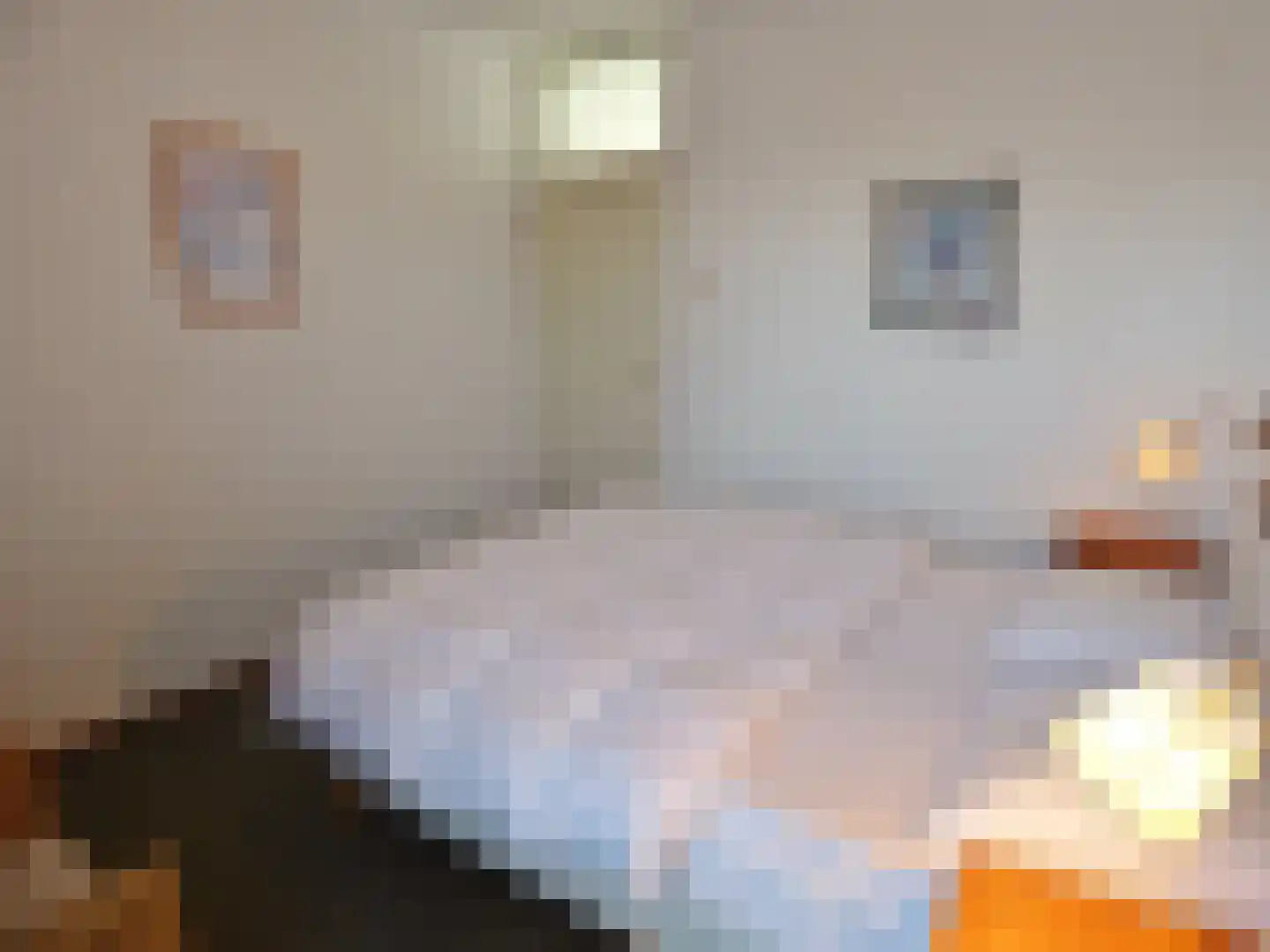 De Lopinge 40 Cadzand thumbnail 10