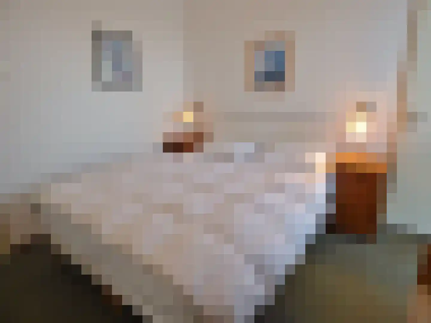 De Lopinge 40 Cadzand thumbnail 11