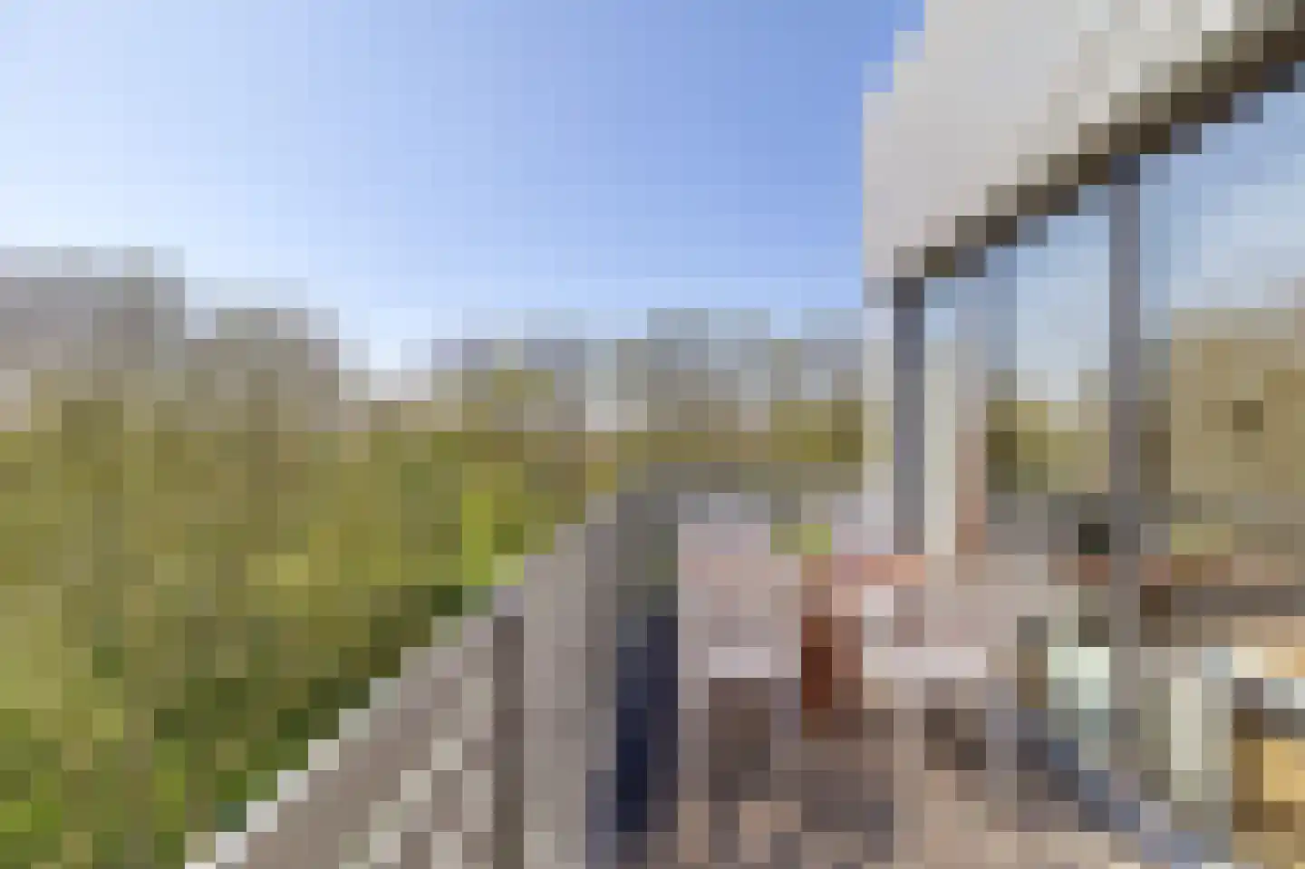 De Lopinge 53 Cadzand thumbnail 22