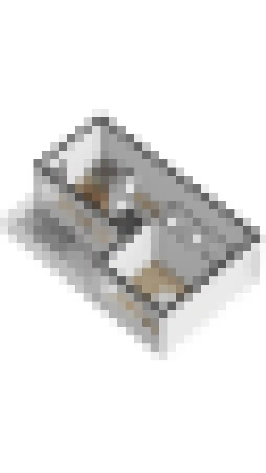 De Lopinge 53 Cadzand thumbnail 26
