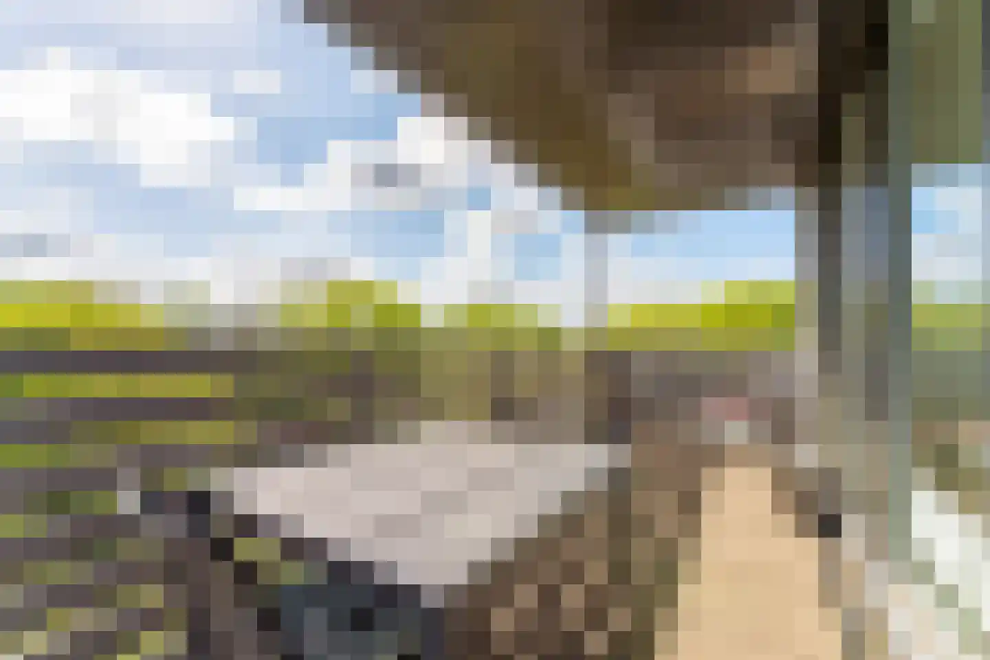 De Lopinge 56 Cadzand thumbnail 20