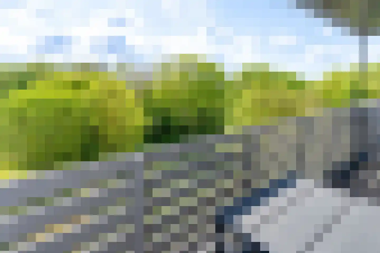 De Lopinge 56 Cadzand thumbnail 22