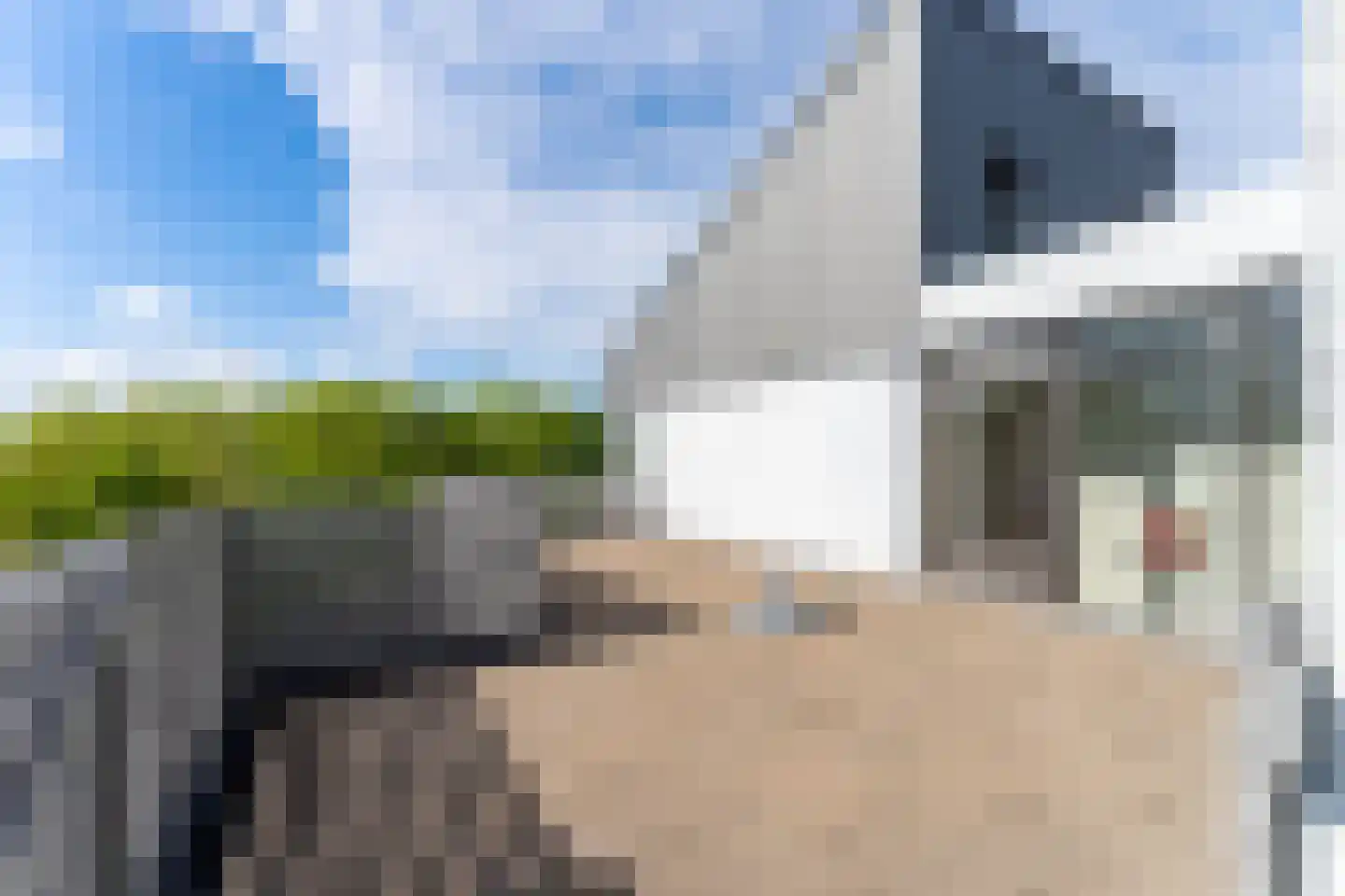 De Lopinge 56 Cadzand thumbnail 27