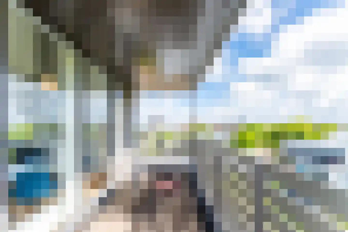 De Lopinge 56 Cadzand thumbnail 5