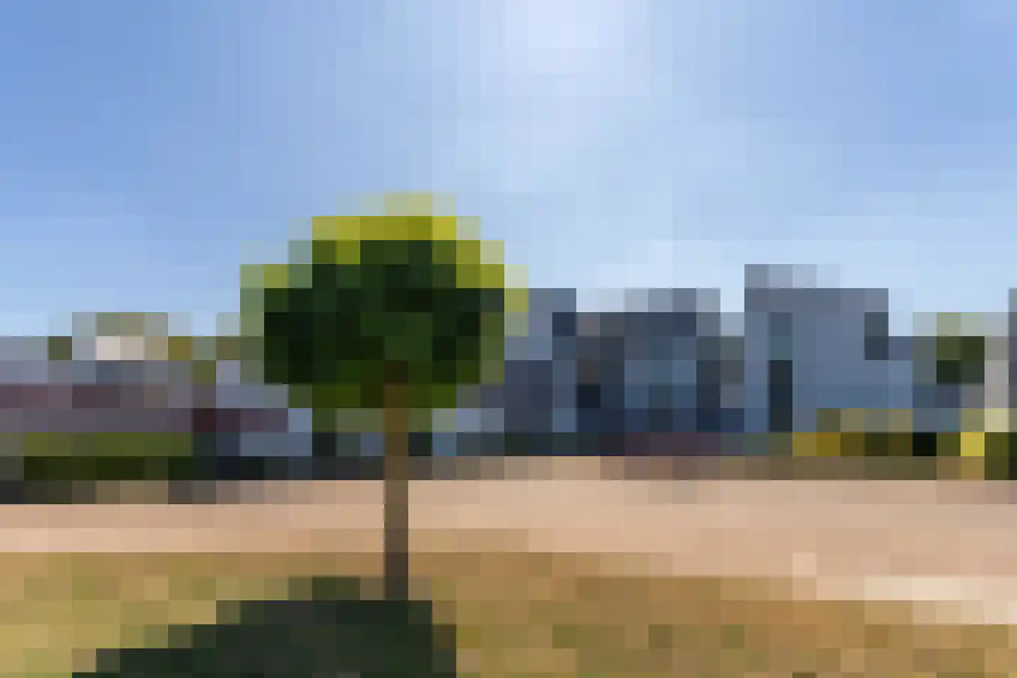 De Lopinge 67 Cadzand thumbnail 6