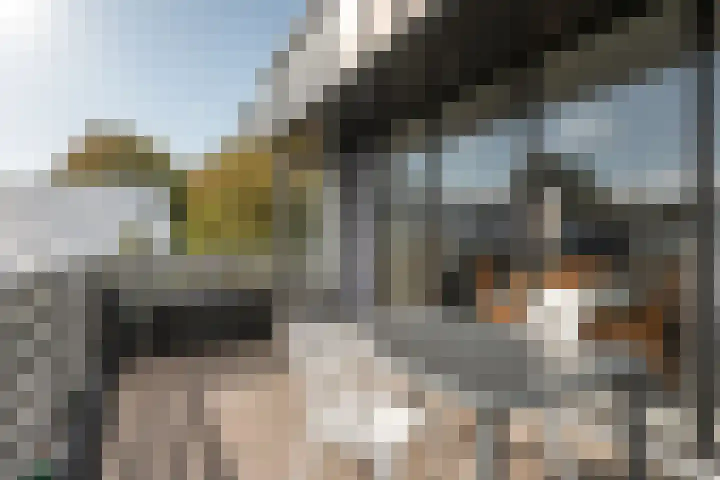 De Lopinge 90 Cadzand thumbnail 21