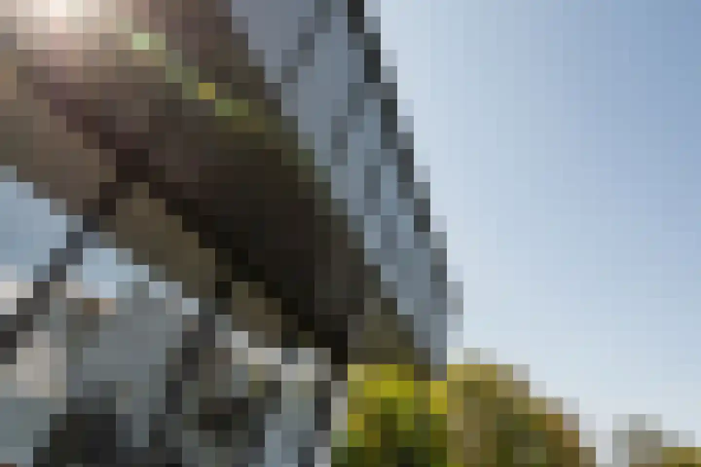 De Lopinge 90 Cadzand thumbnail 26