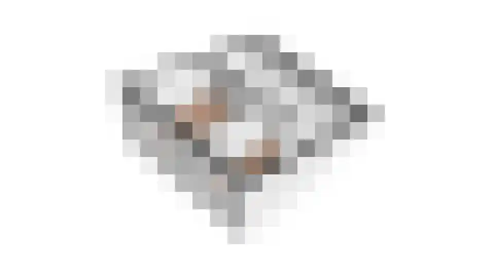 De Lopinge 90 Cadzand thumbnail 29