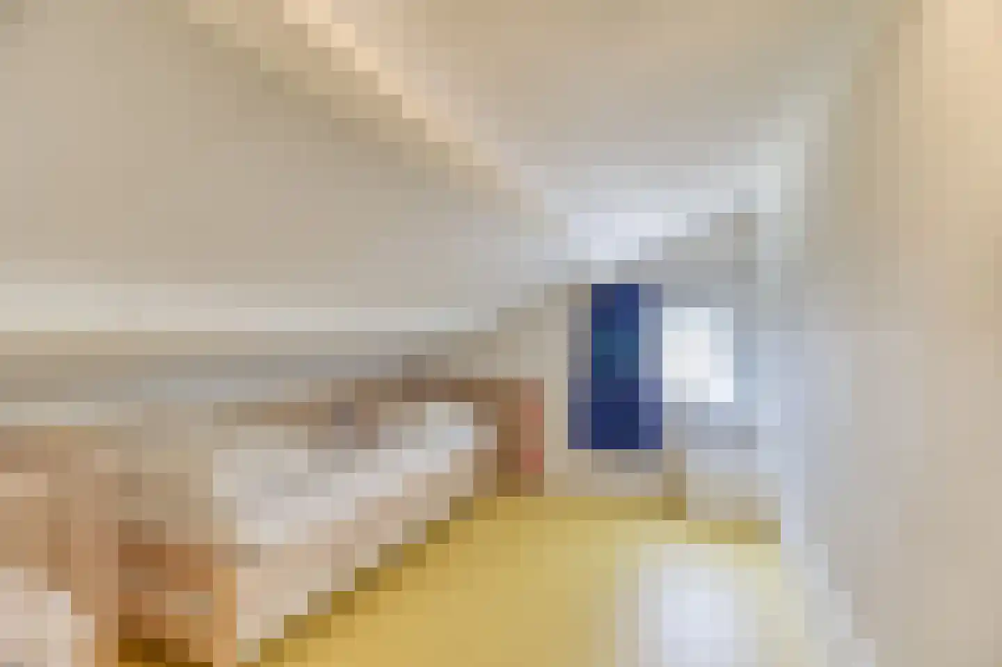De Lopinge 91 Cadzand thumbnail 22
