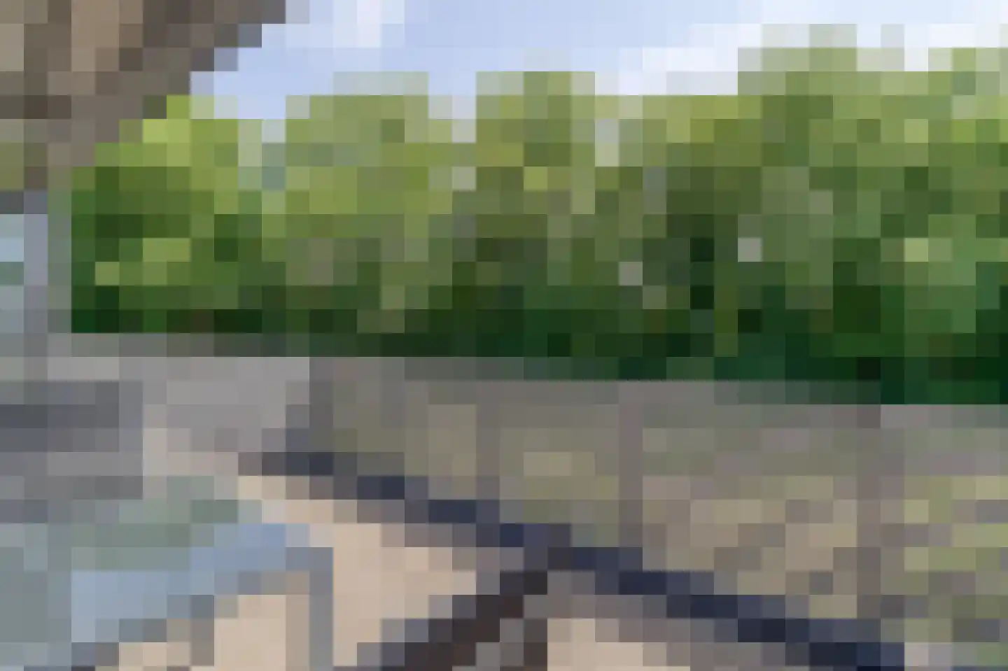 De Lopinge 91 Cadzand thumbnail 25