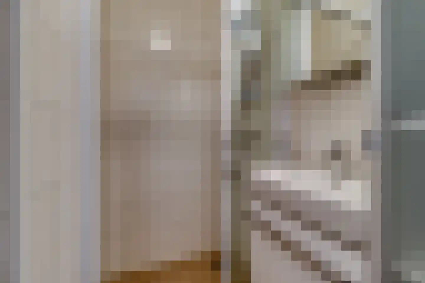 De Lopinge 91 Cadzand thumbnail 4