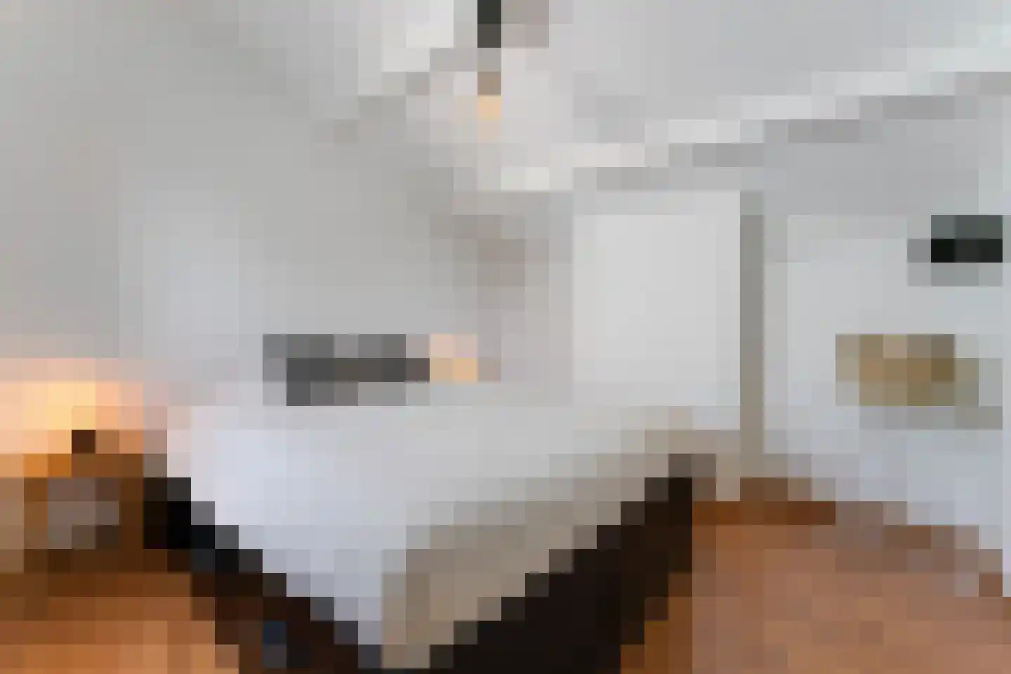 De Lopinge 95 Cadzand thumbnail 14