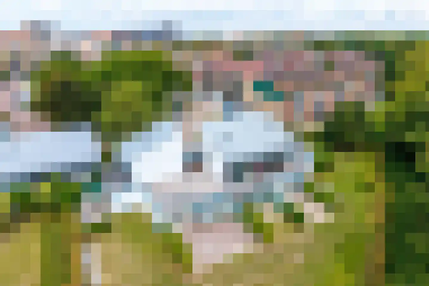 De Lopinge 95 Cadzand thumbnail 21