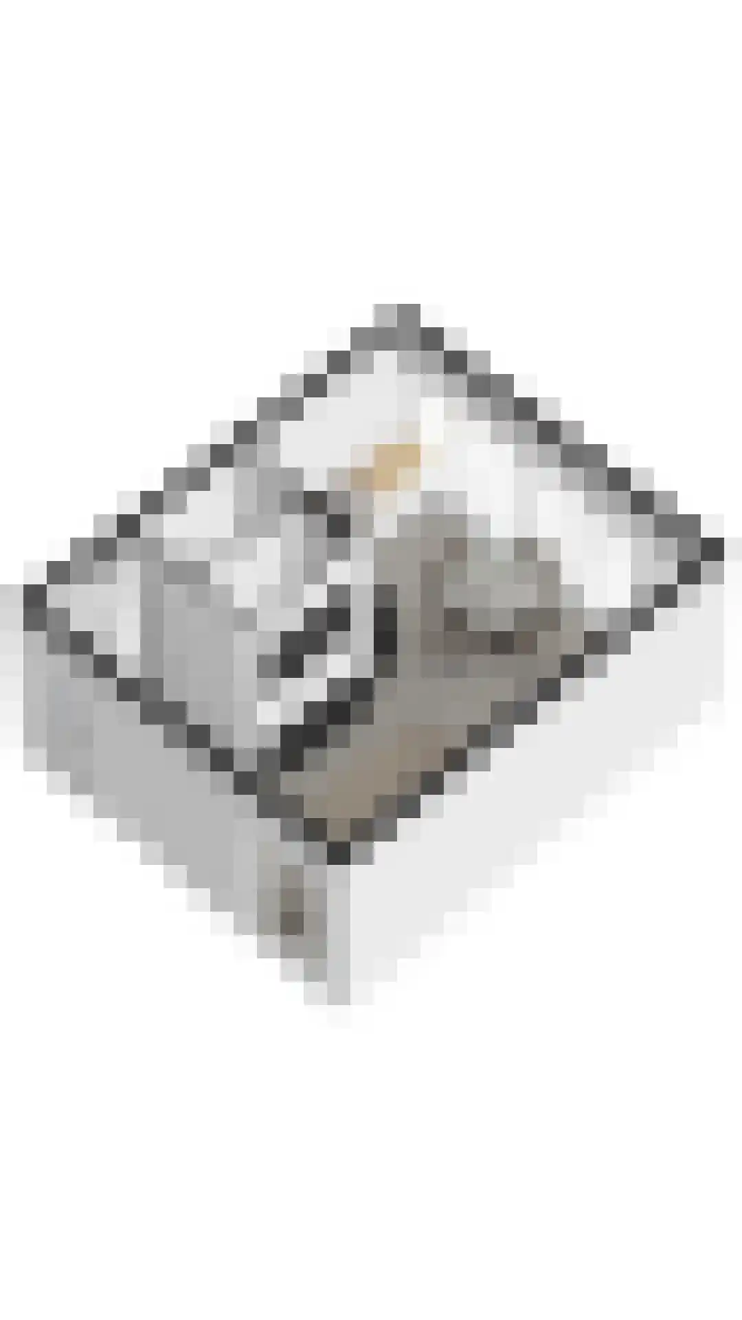 De Lopinge 95 Cadzand thumbnail 24