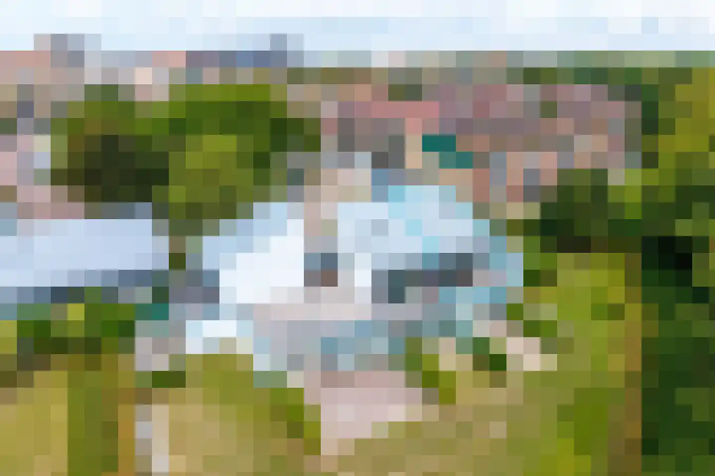 De Lopinge 95 Cadzand thumbnail 8