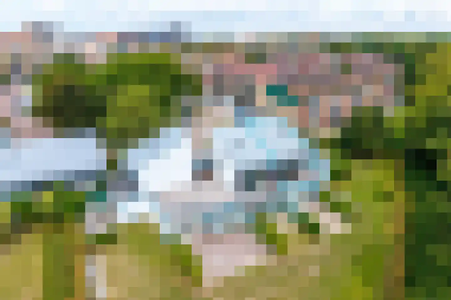 De Lopinge 95 Cadzand thumbnail 9
