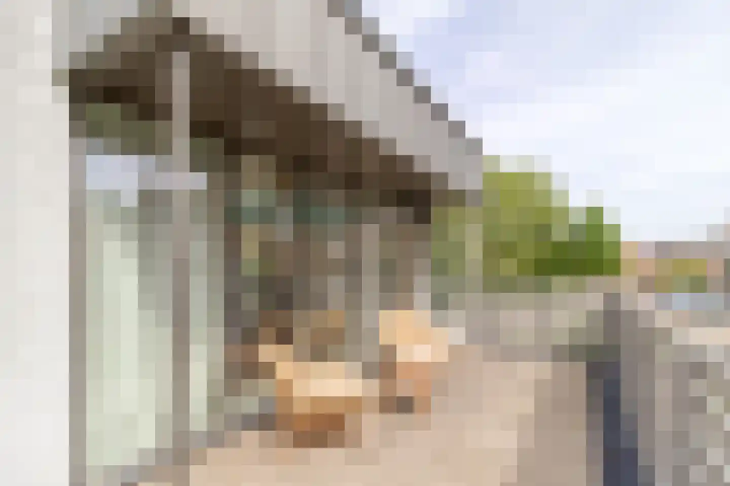 De Lopinge 96 Cadzand thumbnail 20