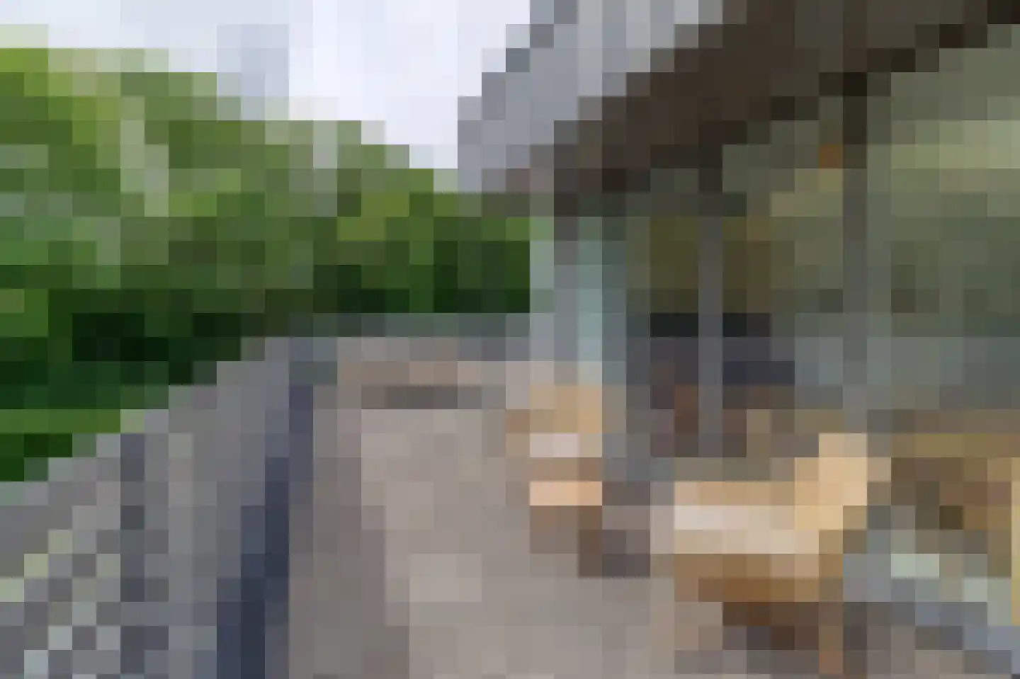 De Lopinge 96 Cadzand thumbnail 21