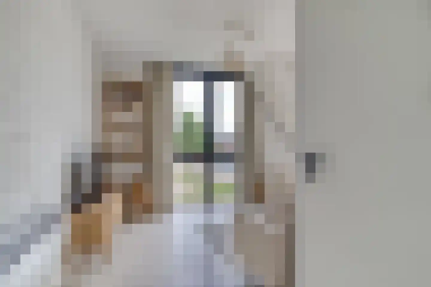 De Lopinge 96 Cadzand thumbnail 6