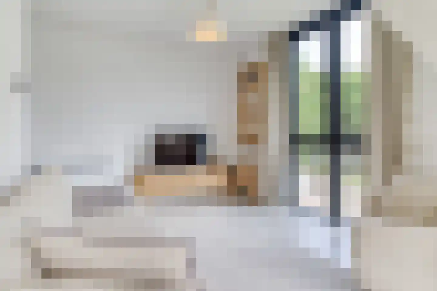 De Lopinge 96 Cadzand thumbnail 8