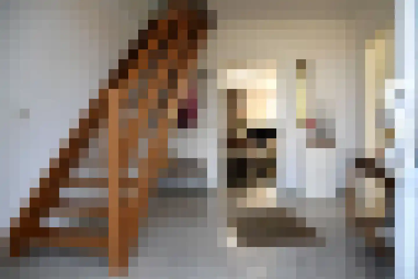 de Losplaats 2 Peize thumbnail 11