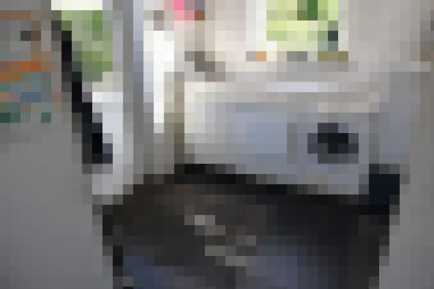 de Losplaats 2 Peize thumbnail 20